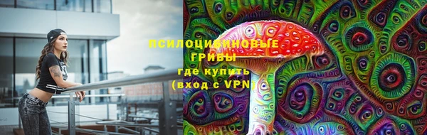 марки lsd Нязепетровск